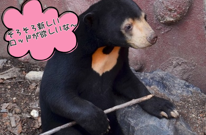 おすすめフルートメンテグッズ！管体内水滴対策編