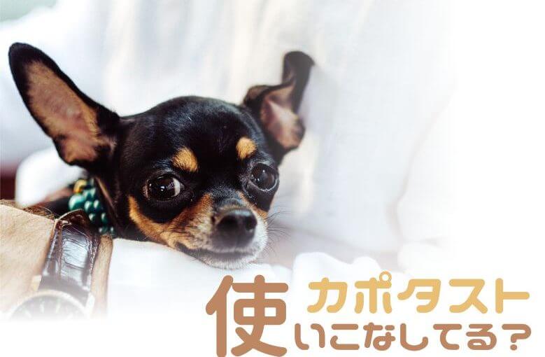 カポタストを使いこなそう！︎