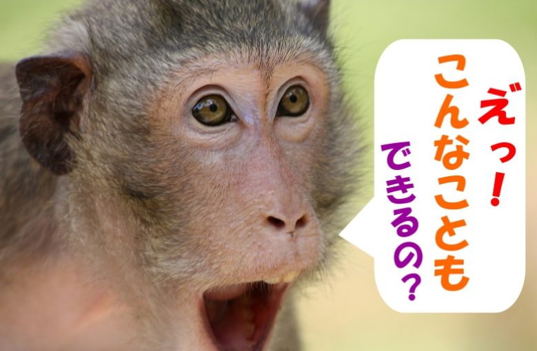 えっ！こんなこともできるの？コントラバスの音を聴いてみよう。