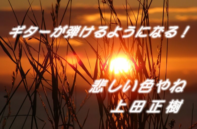 ギター初心者が1日で弾けるようになる！︎ 上田正樹/悲しい色やね