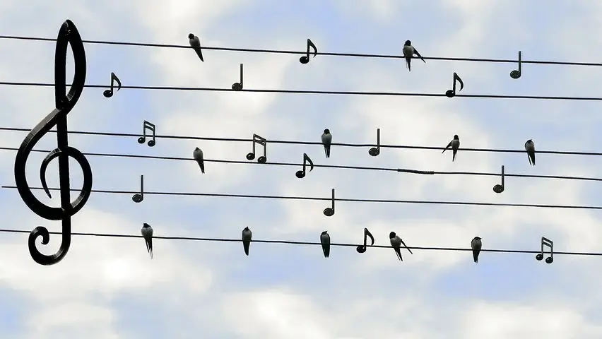 電線と鳥と五線譜